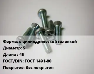 Винт с цилиндрической головкой 5х45 ГОСТ 1491-80 без покрытия